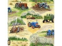 Old Tractors with Hay